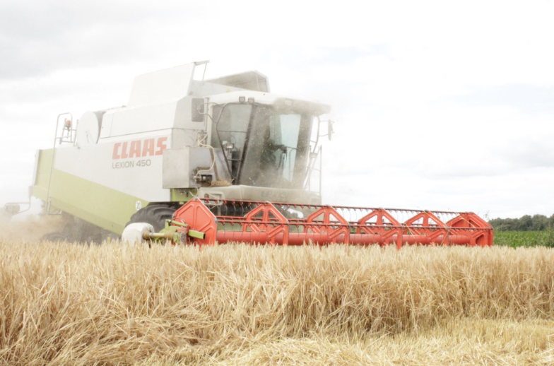 Scherm­afbeelding 2025 09 01 om 12. 48. 22 | holland meel