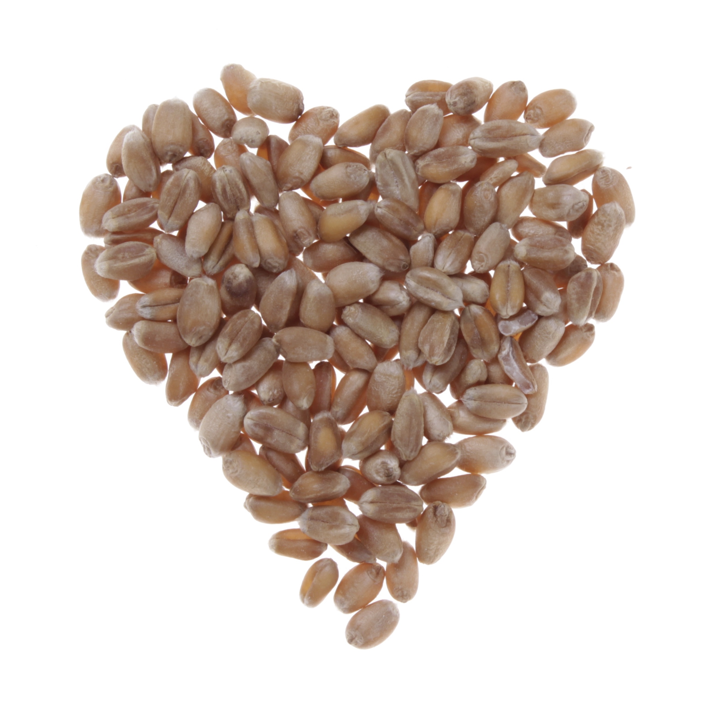 Home - hart voor vakmanschap