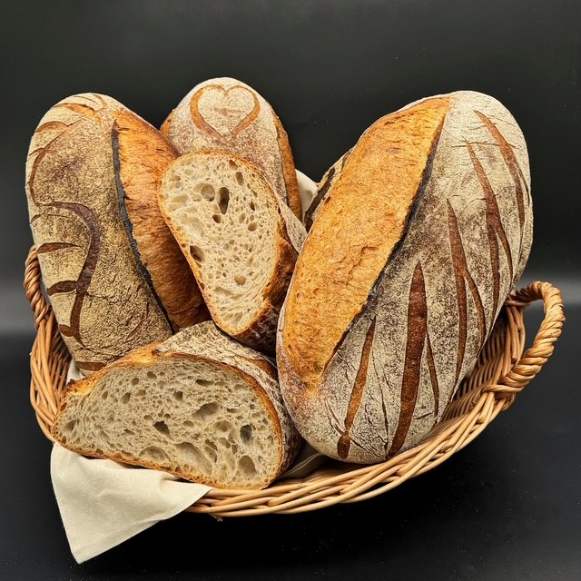 Roland kracher | holland meel